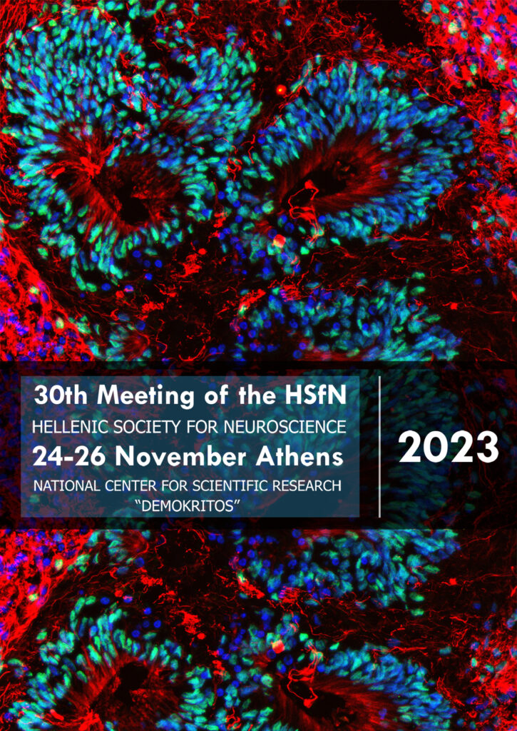 30th Meeting of the Hellenic Society for Neuroscience (HSfN), 24-26 November